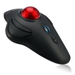 Adesso iMouse T40 Trackball - Mouse