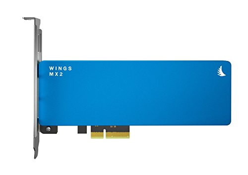 Angelbird Wings MX2 1 TB - Storage
