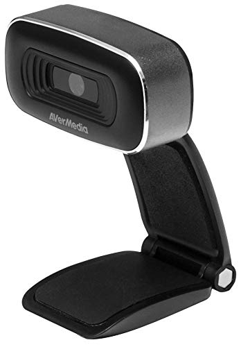 Avermedia HD Webcam 310 - Webcam