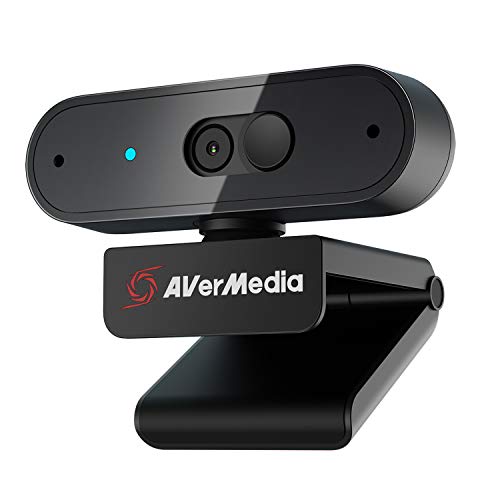 Avermedia PW310P - Webcam