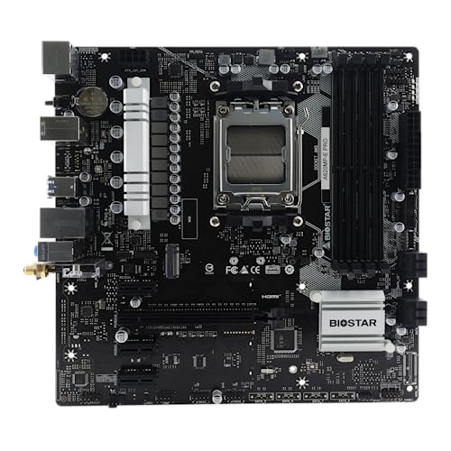 Biostar A620MP-E PRO - Motherboard