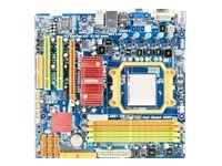 Biostar TA785GE 128M - Motherboard