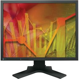 Eizo FlexScan S2133 - Monitor