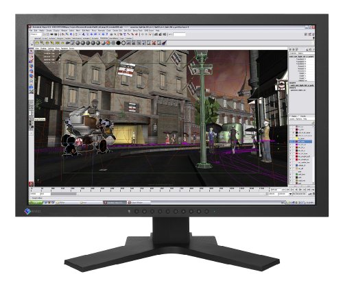 Eizo SX2462W-BK - Monitor