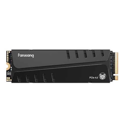 FanXiang S770 1 TB - Storage