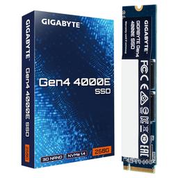 Gigabyte 4000E 500 GB - Storage