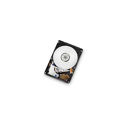 Hitachi A7K1000-500 500 GB - Storage
