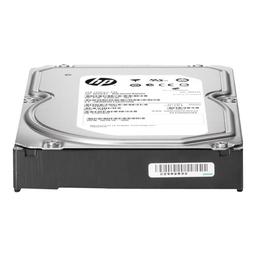 HP 628065-B21 3 TB - Storage