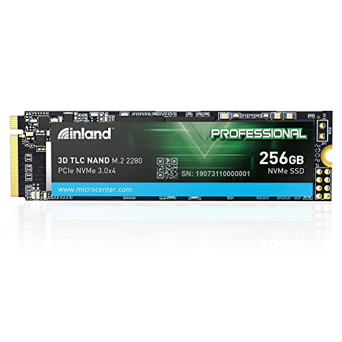 Inland Professional 240 GB - Storage