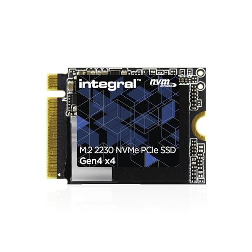 Integral INSSD1TM2230G4 1 TB - Storage