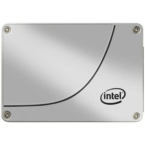 Intel DC S3700 100 GB - Storage