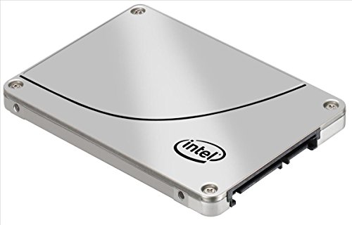 Intel SSDSC2BB480G601 480 GB - Storage