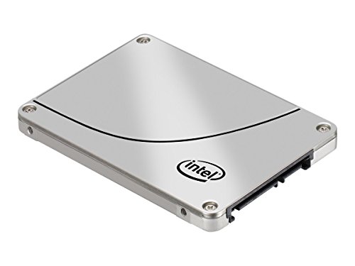 Intel SSDSC2BB800G601 800 GB - Storage