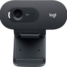 Logitech C505e - Webcam