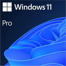 Microsoft Windows 11 Pro OEM - DVD 64-bit