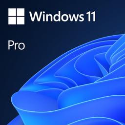 Microsoft Windows 11 Pro Retail - Download 64-bit - Operating System