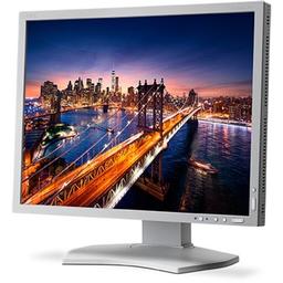 NEC P212 - Monitor