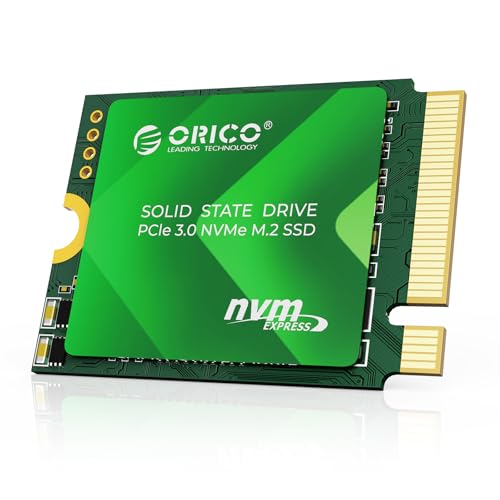 Orico D10 256 GB - Storage
