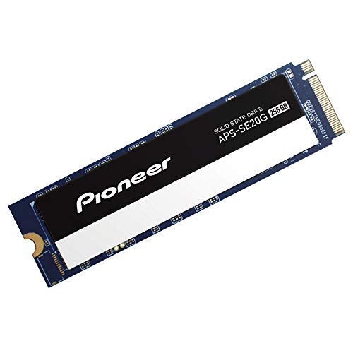 Pioneer APS-SE20G-256 256 GB - Storage