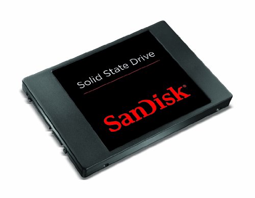 SanDisk Solid State Drive 256 GB - Storage
