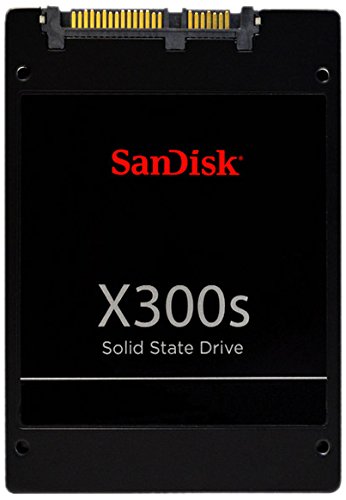 SanDisk X300S 128 GB - Storage