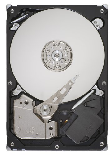 Seagate Barracuda 7200.11 320 GB - Storage
