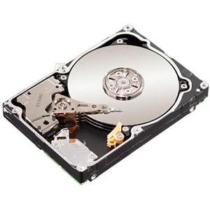 Seagate Constellation.2 500 GB - Storage