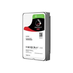 Seagate IronWolf 12 TB - Storage