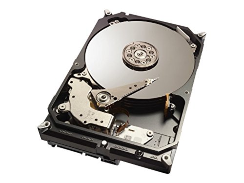 Seagate ST1000DX001 1 TB - Storage