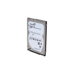 Seagate ST320LM010 320 GB - Storage