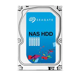 Seagate ST6000VN0021 6 TB - Storage