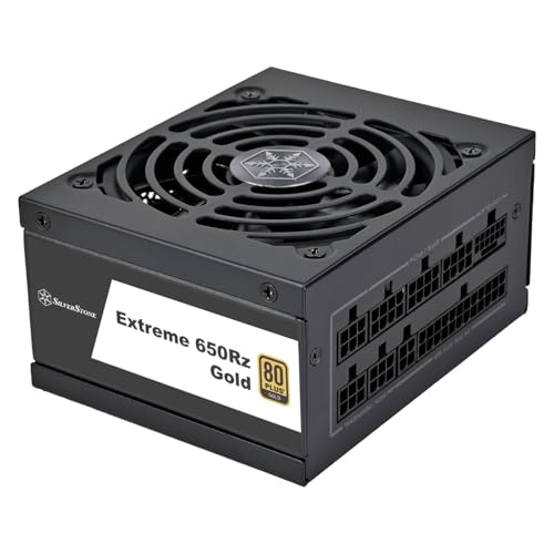 Silverstone Extreme Rz 1000W - Power Supply