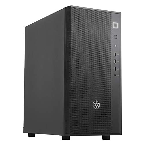 Silverstone FARA R1 - Case