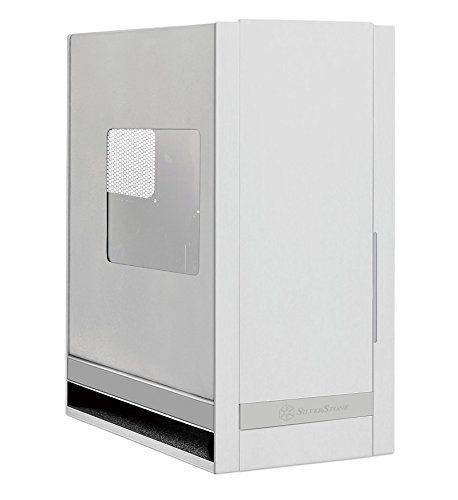 Silverstone FT05 - Case