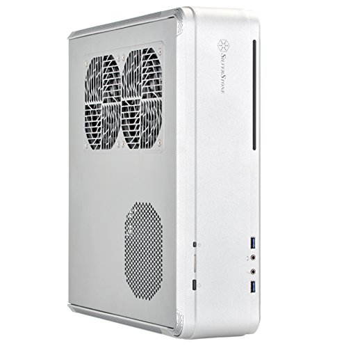 Silverstone FTZ01 - Case