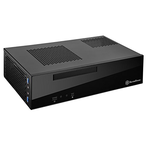Silverstone ML09 - Case