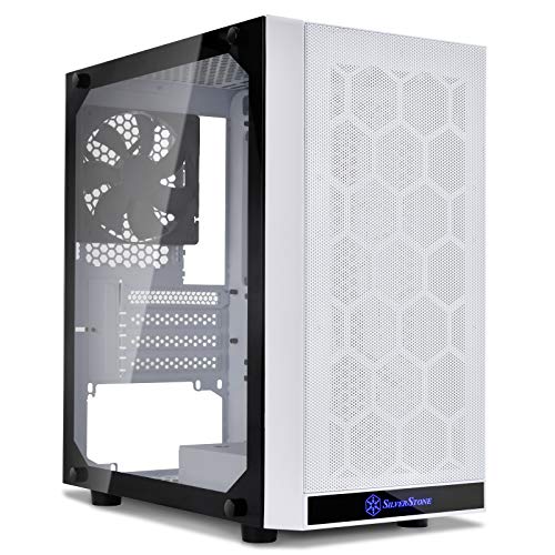 Silverstone PS15 - Case