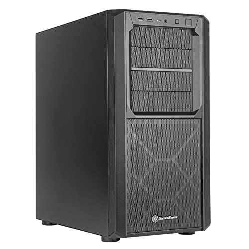 Silverstone SETA D1 - Case