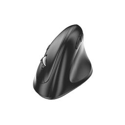 SMK-Link VP3830-TAA - Mouse