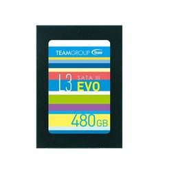 TEAMGROUP L3 EVO 480 GB - Storage